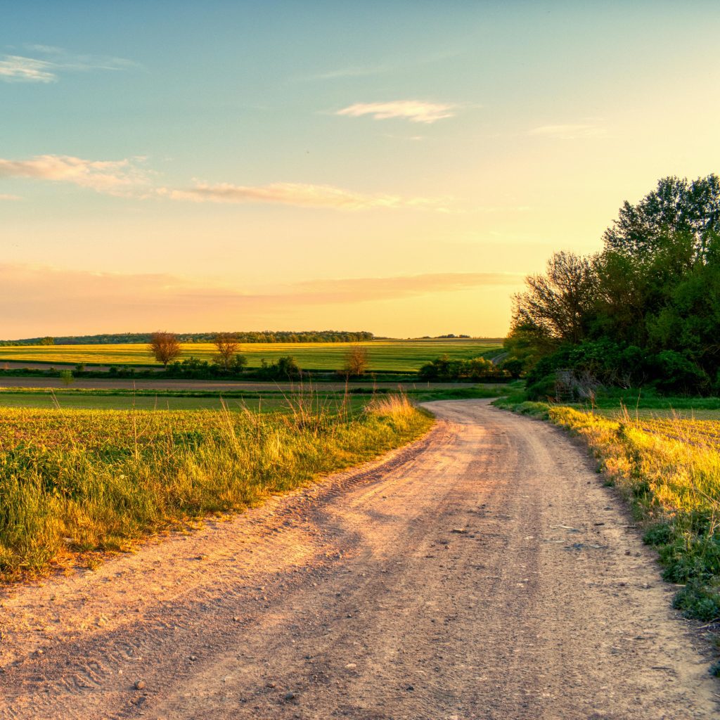 Capture the serene beauty of nature with a dirt road winding through vibrant countryside fields during sunset.
